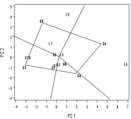 Gambar 4.  Grafik GGE Biplot basis skala simetris untuk pola ”which-won-where” 