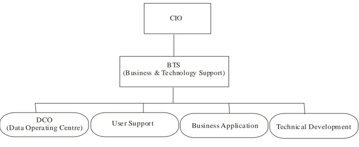 Gambar 2.4 Struktur Organisasi Departemen TI  (Sumber Internal PT. Charoen Pokphand Indonesia Tbk, 2006) 