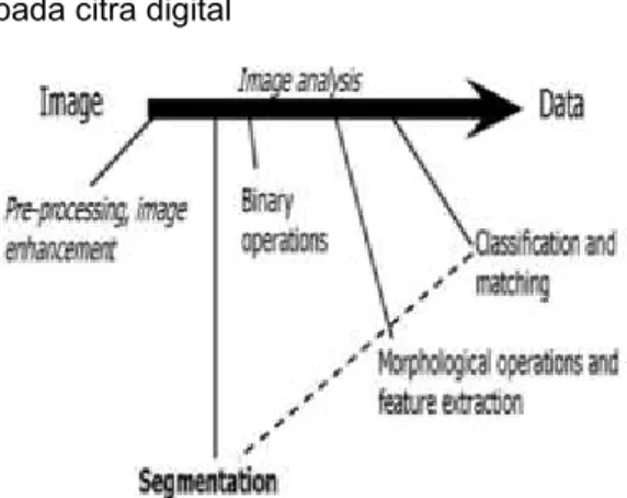 Gambar 2.1 Proses segmentasi pada citra digital  Sumber: (Muriliasari &amp; Murinto, 2013) 