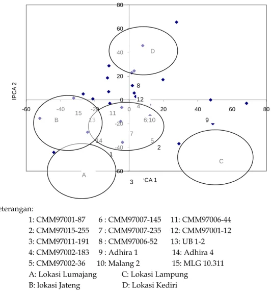 Gambar 1. Biplot IPCA 1 dan IPCA 2 untuk gentipe berdasarkan hasil pati umur 9 bulan  (r 1  = 19,7; r 2  = 17,0)