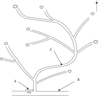 Gambar 3. Pola jalan sarad Figure 3. Skidding road pathern Keterangan ( : A = Tempat pengumpulan kayu (TPK) ( , B = Jalan utama ( , C = jalan sarad (S , O = Tumpukan kayu yang
