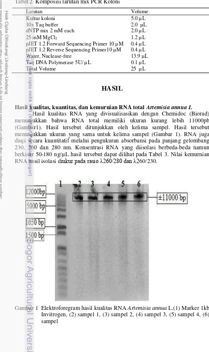 Tabel 2  Komposisi larutan mix PCR Koloni 