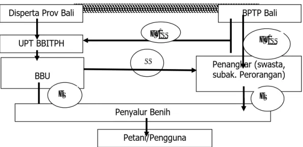 Gambar 1. Sistem Distribusi Perbenihan di Provinsi Bali