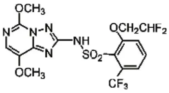 Gambar 1. Struktur kimia penoxsulam (Tomlin, 2010).