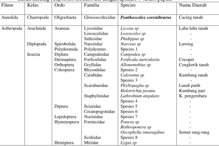 Tabel  1.    Klasifikasi  makrofauna  tanah  yang  ditemukan  pada  pertanaman  cabai  merah keriting (Capsicum annuum L.) dengan aplikasi 4 variasi pupuk