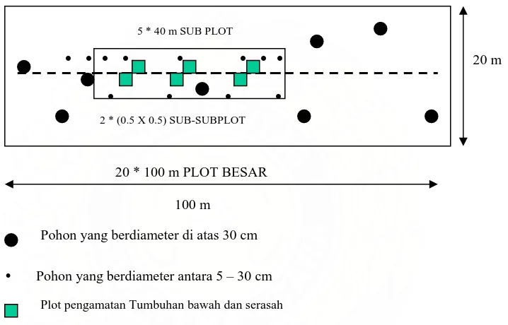 Gambar 3.2. Plot Pengamatan Biomasa untuk Pohon Diameter < 5 cm 