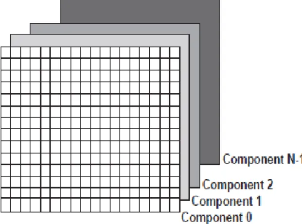 Gambar 2.5 Komponen model citra  Sumber: Gray,--- 