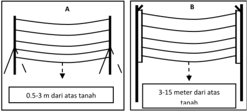 Gambar 7.    Contoh cara pemasangan mist net. (A) Dipasang dengan menggunakan bambu; 