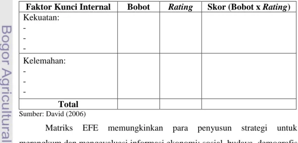 Tabel 9. Format Matriks IFE 