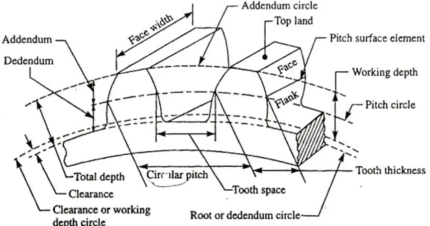 Gambar 2.5. Bagian-bagian roda gigi (Khurmi, 2002)  Bagian-bagian dari roda gigi antara lain: 