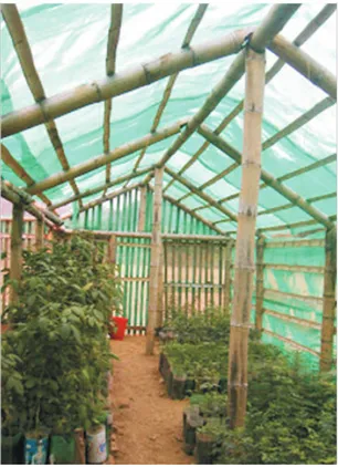 Gambar 1. Greenhouse Bambu