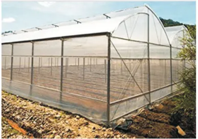 Gambar 10. Greenhouse dengan Penutup Polyethylene film