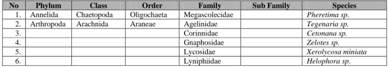 Tabel 4. Makrofauna permukaan tanah yang ditemukan pada lima jenis tegakan di Alas  Kethu 