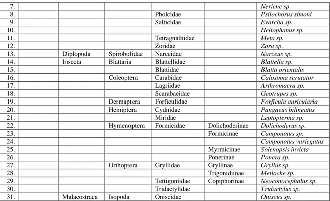 Tabel  5.  Jumlah  individu,  jumlah  spesies  dan  indeks  diversitas  makrofauna  permukaan  tanah pada masing-masing stasiun penelitian 