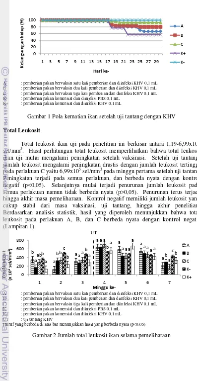 Gambar 1 Pola kematian ikan setelah uji tantang dengan KHV 
