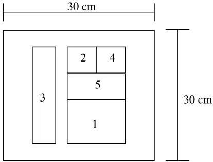 Gambar 4. Pola Pemotongan Horizontal Permukaan Contoh Uji untuk Pengujian Sifat Fisis-Mekanis