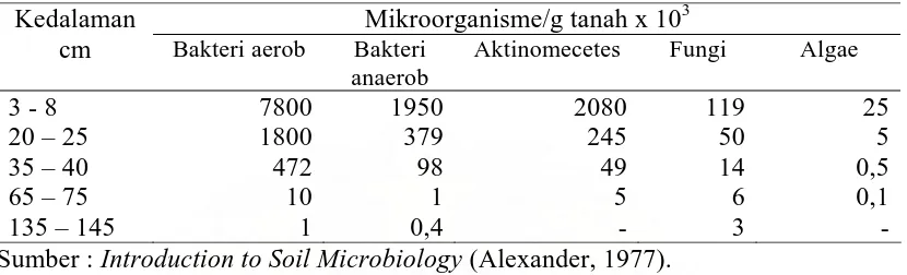 Tabel 3. Populasi mikroorganisme berdasarkan kedalaman tanah  