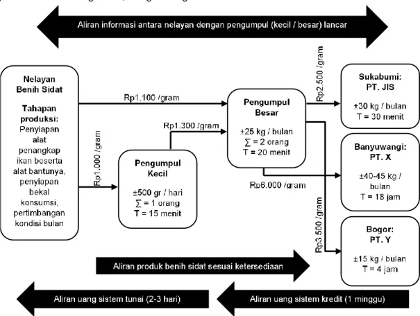 Gambar 3   Pola  aliran  produk,  informasi  dan  uang  dalam  rantai  pasok  glass  eel  sidat  di  Palabuhanratu, Sukabumi 