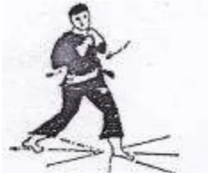 Gambar 16. Tendangan Depan 