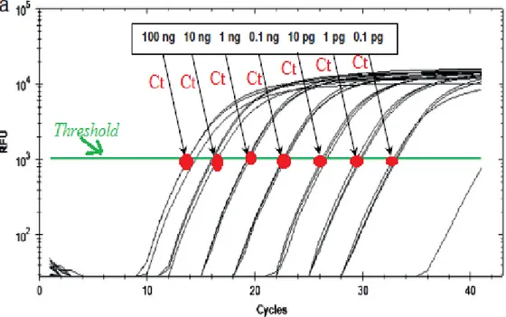 Ilustrasi penentuan garis ambang (threshold) dan penentuan nilai Ct ditampilkan  pada gambar 6