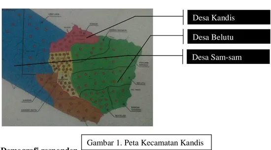 Gambar 1. Peta Kecamatan Kandis  