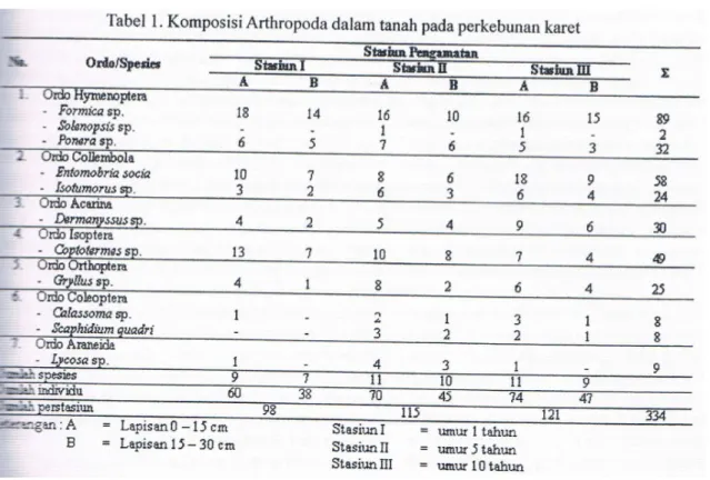 Tabel  1  memperlihatkan  adanya  perbedaan jumlah lu maupun jumlah jenis pada  setiap na, dimana pada stasiun I ditemukan 98  individu, stasiun  II  ditemukan  115 jumlah  dan  stasiun  III  ditemukan  121  jumlah  individu