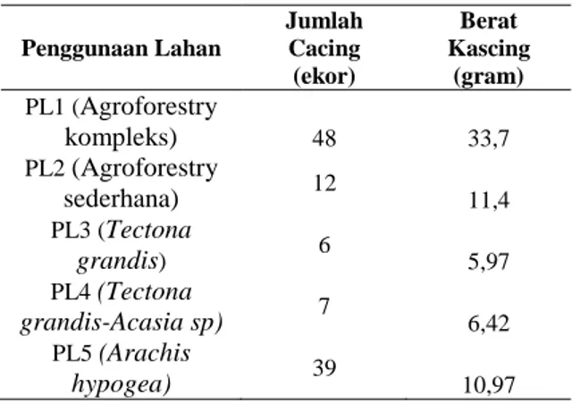 Tabel 1. Jumlah cacing dan berat kascing pada penggunaan  lahan.  Penggunaan Lahan  Jumlah Cacing  (ekor)  Berat  Kascing (gram)  PL1 ( Agroforestry  kompleks) 48  33,7  PL2  (Agroforestry  sederhana) 12  11,4  PL3 ( Tectona  grandis )  6  5,97  PL4  (Tect
