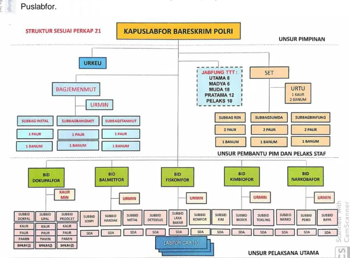 Gambar 3. Struktur organisasi di Puslabfor  Dengan keterangan jabatan sebagai berikut : 