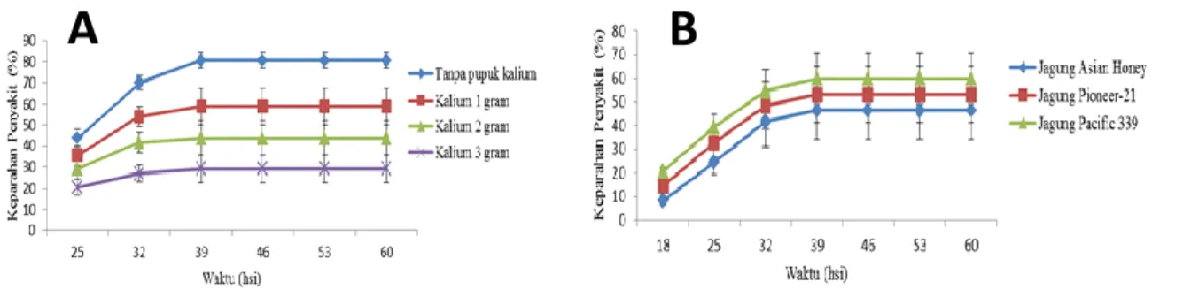 Gambar 3. Perkembangan penyakit bulai pada tiga varietas jagung (A) dan pada dosis pupuk kalium (B) yang berbeda 