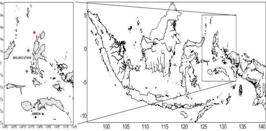 Gambar 2. Zona penangkapan ikan tuna sirip kuning (Thunnus albacares) di Perairan   Laut Maluku, Indonesia (bintang merah = Maluku Utara, segitiga biru = Ambon)