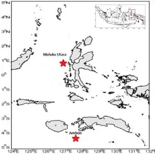 Gambar 6. Struktur populasi genetik tuna sirip kuning diperairan Maluku Utara dan Ambon, Indonesia