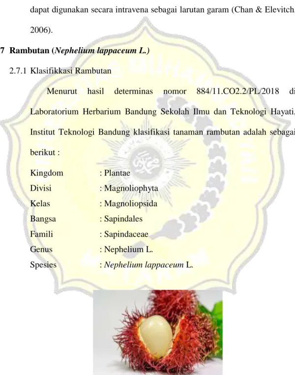 Gambar 2.4 Kulit Buah Rambutan (wikipedia). 