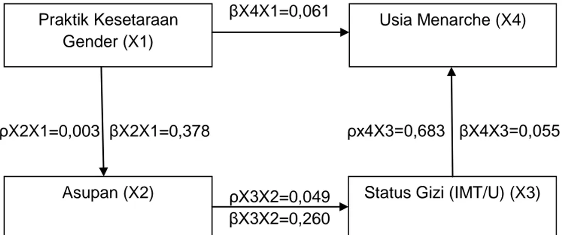 Gambar  1.  menjelaskan  bahwa  nilai  koefisien  jalur  secara  langsung  antara  praktik  kesetaraan gender (X1) terhadap asupan (X2) adalah diperoleh nilai yaitu ρX2X1=0,003 dan  βX2X1=0,378,  asupan  (X2)  terhadap  status  gizi  (X3)  didapatkan  hasi