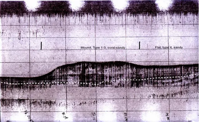 Gambar 4.5  Contoh rekaman data seismik yang menunjukan garis-garis putih  sebagai batas antara lapisan sediment yang berbeda