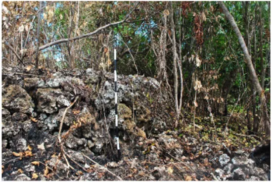 Gambar 7. Makam II di Lokasi Bekas Baileo  di Situs Bukit Amaiha. Sumber: Dokumen 
