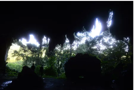 Gambar 2.  Situs Gua Batu, Desa Napal  Licin, Kecamatan Ulu Rawas,  Kabupaten  Musi  Rawas  Utara,  Provinsi  Sumatera  Selatan  (foto: dok