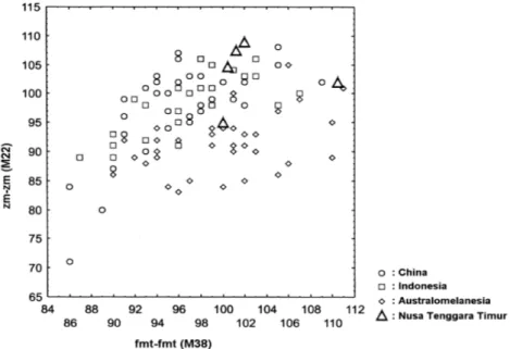 Gambar 1. Diagram bivariate scatterplot zm-zm (M22) dan fmt-fmt (M38) sampel China, Indonesia secara umum, Australomelanesia dan Nusa Tenggara Timur