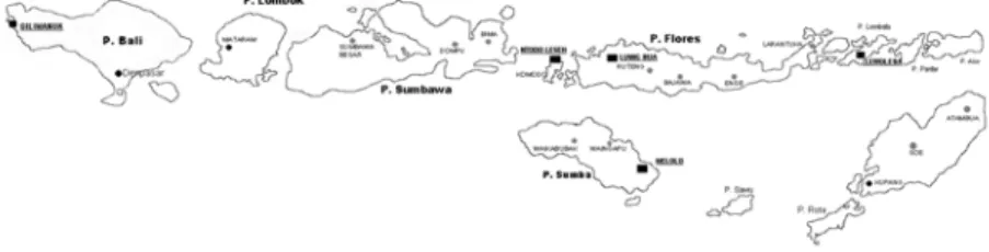 Gambar 1. Situs-situs prasejarah Nusa Tenggara Timur   dan Gilimanuk yang diteliti 
