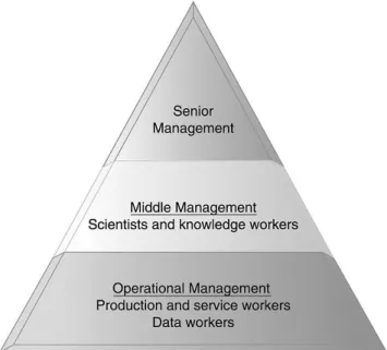 Gambar 1.3  Hierarki Organisasi  