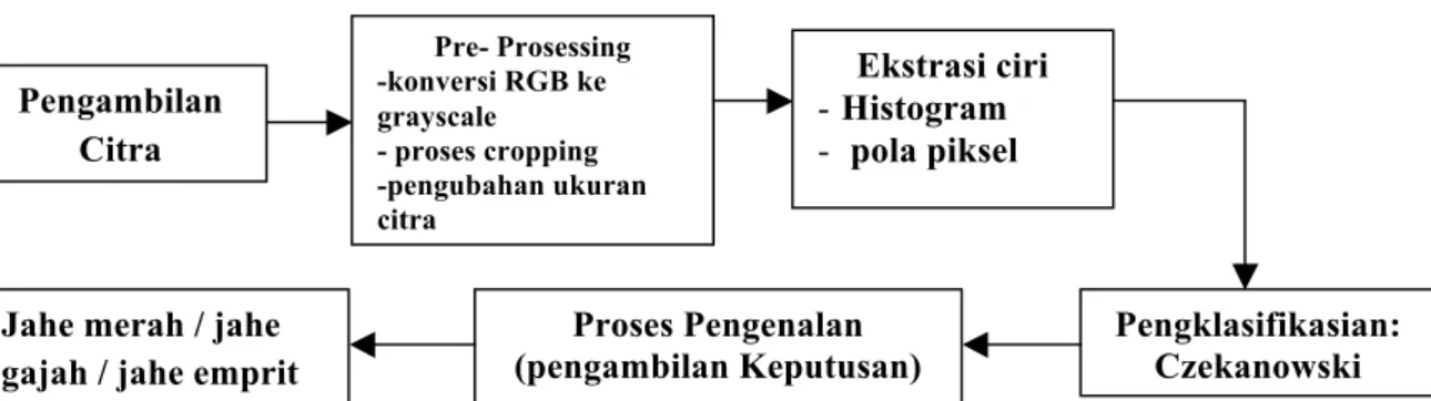 Gambar 1. Diagram Blok Sistem Identifikasi Jahe 