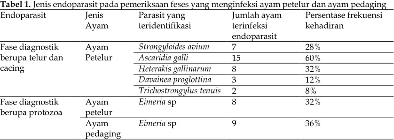 Tabel 1. Jenis endoparasit pada pemeriksaan feses yang menginfeksi ayam petelur dan ayam pedaging  Endoparasit  Jenis   Ayam  Parasit yang  teridentifikasi  Jumlah ayam terinfeksi   endoparasit  Persentase frekuensi kehadiran  Fase diagnostik  berupa telur