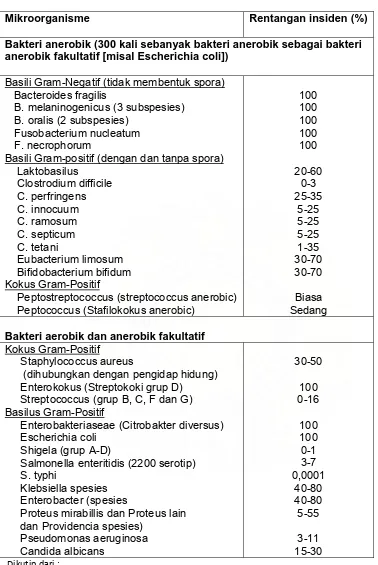 Tabel 2.3. Mikroorganisme yang ditemukan dalam usus besar 37  