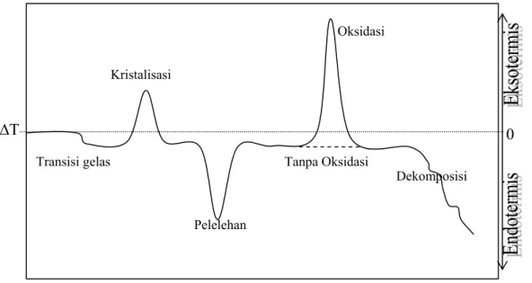 Gambar 16 . Skema umum kurva DTA senyawa polimer (Robek, J.F., 1980) 