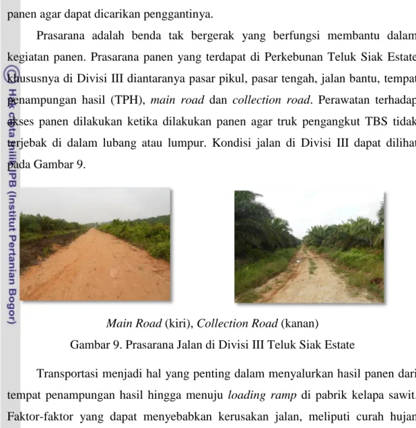 Gambar 9. Prasarana Jalan di Divisi III Teluk Siak Estate 