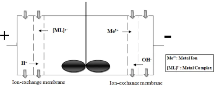 Gambar 6. Prinsip kerja proses elektrokimia dalam penyisihan  logam 