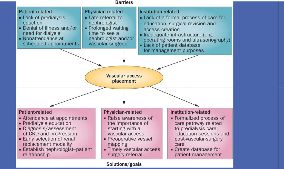 Figure 3 Barriers and solutions for vascular access placement