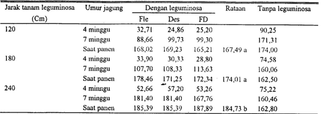 Tabel 2. Produksi balian kering hijauan jagung yang ditanam dengan legumnosa dan tanpa leguminosa Tanpa legiuminosa