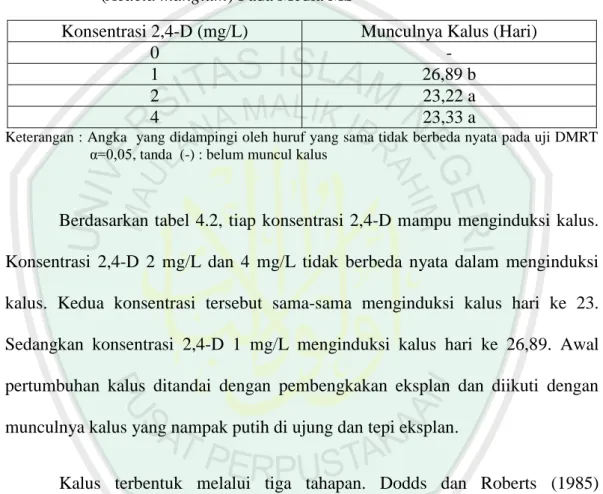 Tabel 4.2 Hasil uji DMRT 5% pengaruh 2,4-D terhadap munculnya kalus akasia  (Acacia mangium) Pada Media MS 