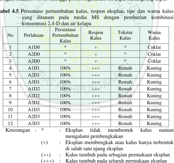 Tabel  4.5  Persentase  pertumbuhan  kalus,  respon  eksplan,  tipe  dan  warna  kalus  yang  ditanam  pada  media  MS  dengan  pemberian  kombinasi  konsentrasi 2,4-D dan air kelapa 