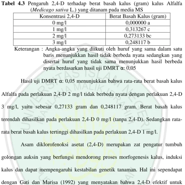 Tabel  4.3  Pengaruh  2,4-D  terhadap  berat  basah  kalus  (gram)  kalus  Alfalfa  (Medicago sativa L.) yang ditanam pada media MS 
